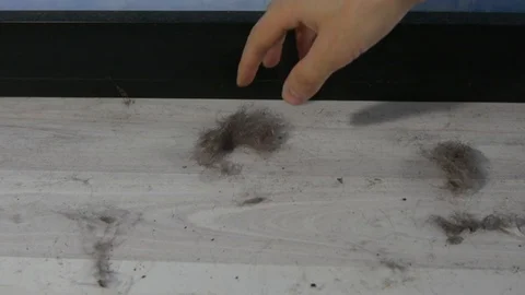 Large chunk of dust on the floor of the room. The white floor is covered in dirt Stock Footage 127850564