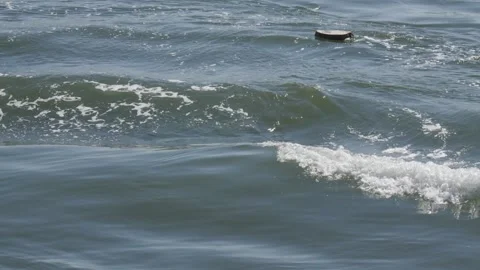 A large chunk of trash floats on gray green river waves of New York city's e Stock Footage 242305381