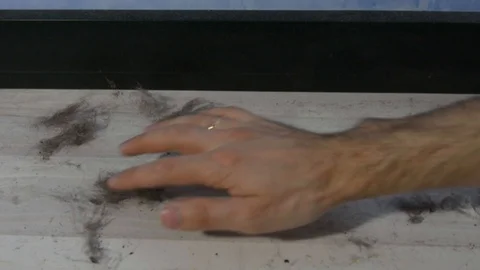 Large chunks of dust on the floor of the room. Stock Footage 127850575