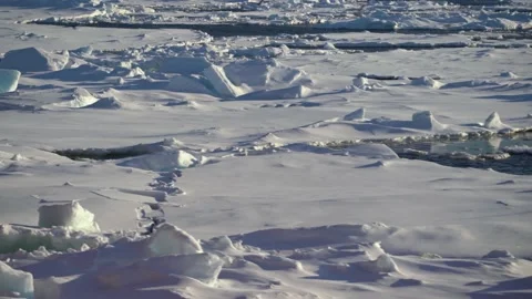 Large chunks of ice on water. Blue melting ice in water. Gulls fly and fish Stock Footage 154970154
