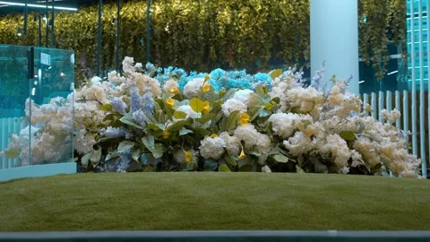 Large circular flower bed with flowers and lawn around Stock Footage 287956569