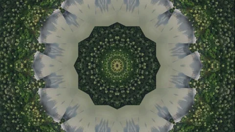 Large, circular pattern of trees and water Stock Footage 321390189