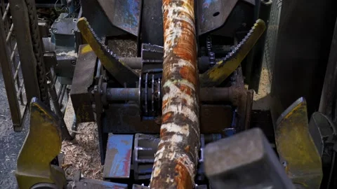 A large circular saw saws birch logs into pieces. at a woodworking plant.  스톡 동영상 233890671