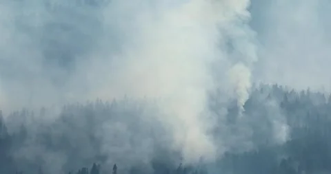 A large cloud of smoke is rising from a forest Stock Footage 317525797