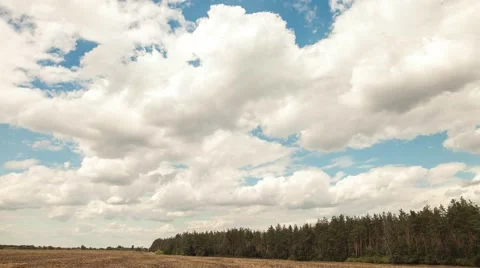 Large clouds in the field Stock-Footage 58223586