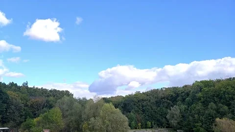 Large clouds float over the forest 스톡 동영상 317578756