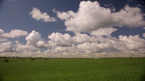 Large clouds over a field of wheat Stock Footage 50393503