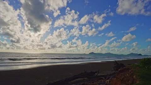 Large Coastal Tree Trunks Destroyed by Ocean Waves Stock Footage 337810261