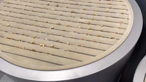 Large collection of various elegant gold and silver rings Stock Footage 327227652