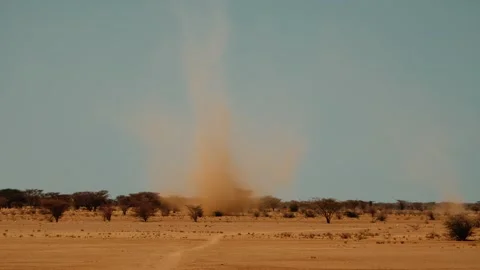Large column of sand vortex moves quickly over surface of savannah. Dust devil Stock Footage 303411542