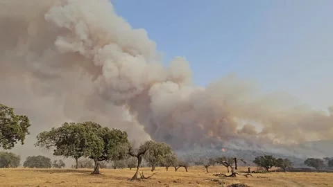 Large column of smoke from a fire Stock Footage 330925561