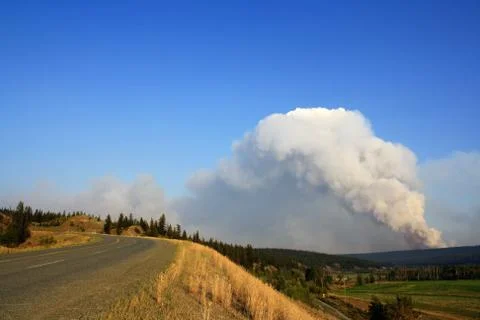 A large column of smoke from a forest fire Stock Photos