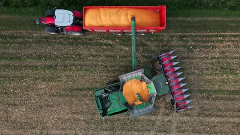 Large Combine Harvester Working in a Wheat Field Stock Footage 318312337