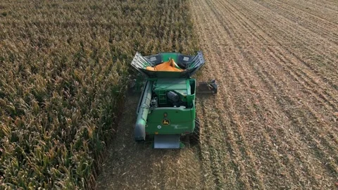 Large Combine Harvester Working in a Wheat Field Stock Footage 318511871