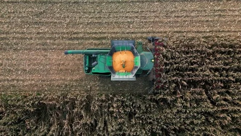 Large Combine Harvester Working in a Wheat Field Stock Footage 318512224