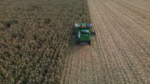 Large Combine Harvester Working in a Wheat Field Stock Footage 318513554