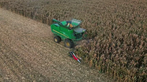 Large Combine Harvester Working in a Wheat Field Stock Footage 318514677