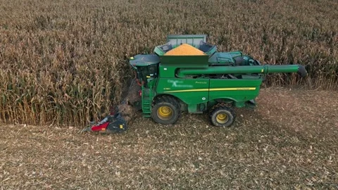 Large Combine Harvester Working in a Wheat Field Stock Footage 318515186