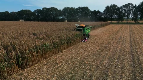 Large Combine Harvester Working in a Wheat Field Stock Footage 318515456