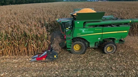 Large Combine Harvester Working in a Wheat Field Stock Footage 318515606