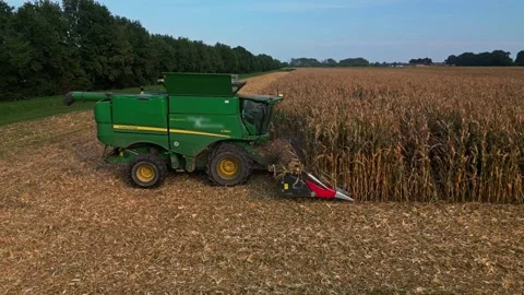 Large Combine Harvester Working in a Wheat Field Stock Footage 318520986