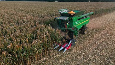 Large Combine Harvester Working in a Wheat Field Stock Footage 318523884