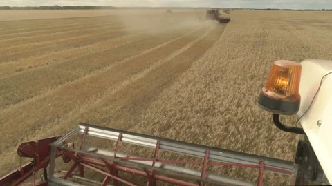 Large combine header mows the wheat. Big harvest reaper working in field. Stock Footage 166018497