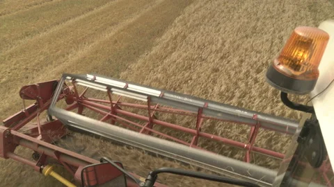 Large combine header mows the wheat. Big harvest reaper working in field. Stock Footage 166018730