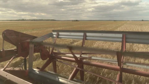 Large combine header mows the wheat. Big harvest reaper working in field. Stock Footage 166021649