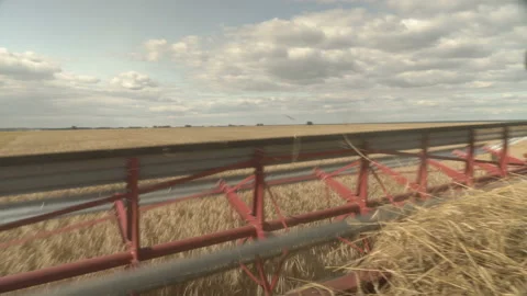 Large combine header mows the wheat. Big harvest reaper working in field. Stock Footage 166021913