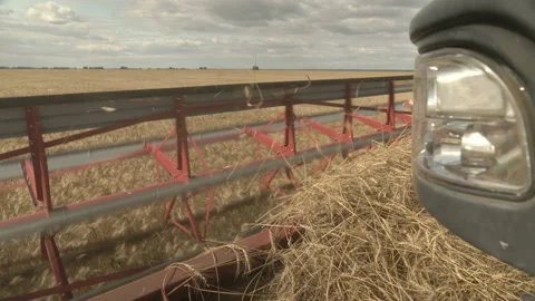 Large combine header mows the wheat. Big harvest reaper working in field. Stock Footage 166022069