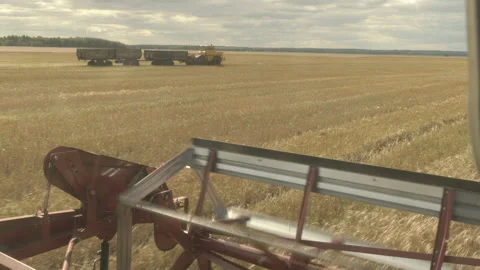 Large combine header mows the wheat. Big harvest reaper working in field. Stock Footage 166022495