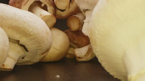 Large compilation of mushrooms - The camera moves backwards from very large Stock Footage 163050410