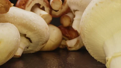 Large compilation of mushrooms - The camera moves backwards from very large Stock Footage 163050588