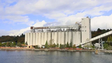 Large concrete industrial grain elevator silos for storing and distributing.. Vídeo Stock 329660412