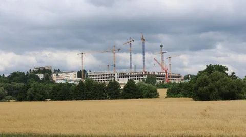 Large construction site with multiple tower cranes rises beyond a golden gr.. 스톡 사진