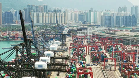 Large Container Cranes Moving Cargo Containers at Hong Kong Stock Footage 311368504