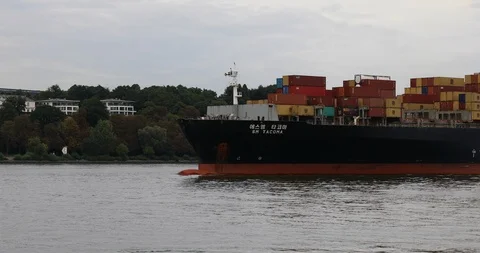 Large container ship on the Elbe Vídeo Stock 95559433