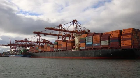 Large container ship parked at the cargo port and unloaded, view from the water. 스톡 동영상 341902986
