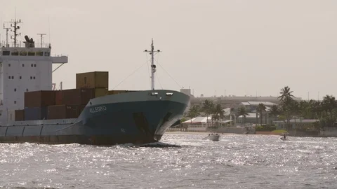 A large container ship sailing in the sea Stock-Footage 117754929