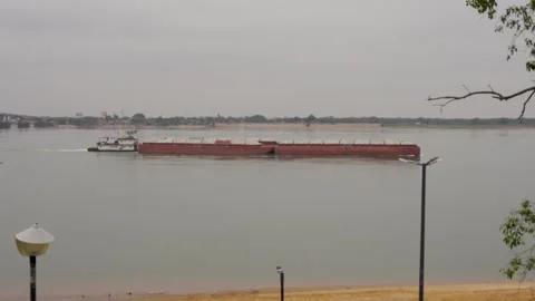A large container ship sails along the Paraná River Video stock 296025454