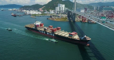 Large container ship Yang Ming arriving to Hong Kong Container Terminals Stock Footage 98581116