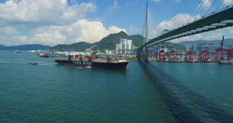 Large container ship Yang Ming arriving to Hong Kong Container Terminals. Видео 102020554