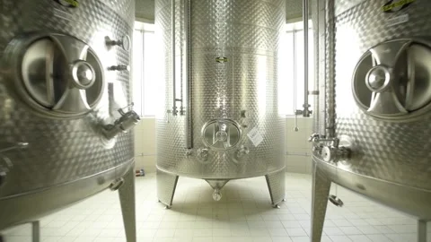 Large containers with grape juice at the winery Stock Footage 169136906