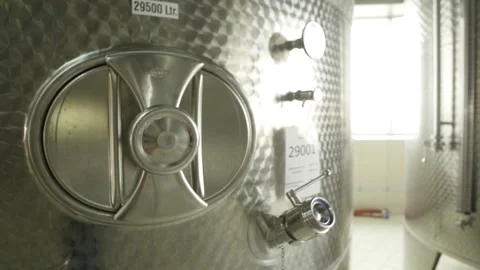Large containers with grape juice at the winery Stock Footage 169136939