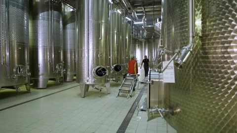 Large containers with grape juice at the winery Stock Footage 169136959