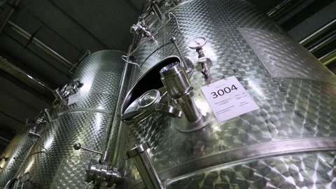Large containers with grape juice at the winery Stock Footage 169136985