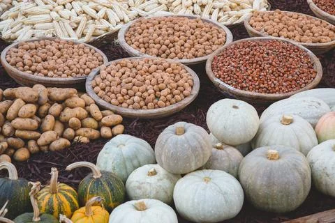 Large containers with walnuts and hazelnuts, corn, pumpkins and potatoes outd Stock Photos