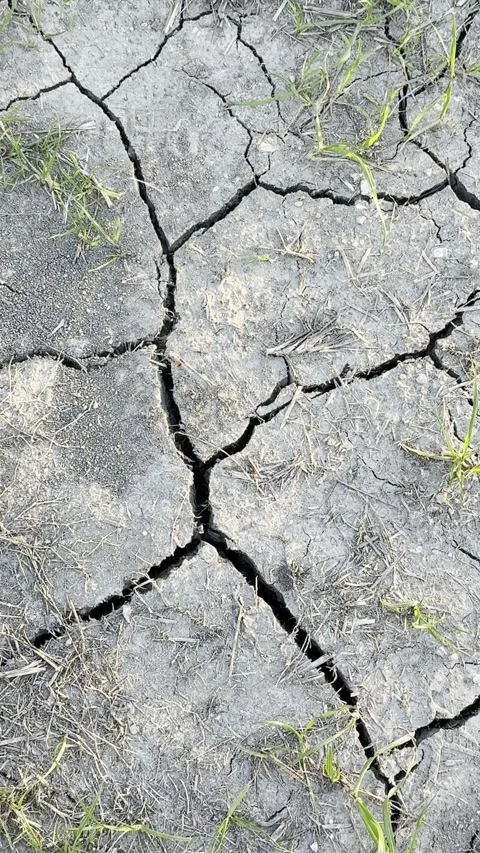 Large Crack in Dry Parched Soil Vídeos de archivo 344807549