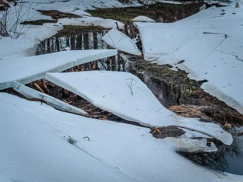 Large, cracked sheets of ice break apart over a forest stream as winter. Stock Photos